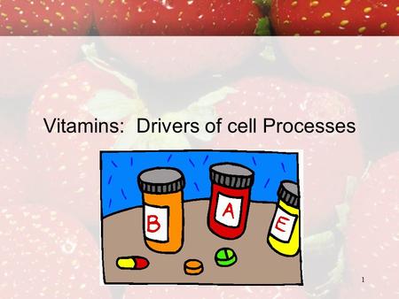 Vitamins: Drivers of cell Processes
