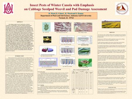 Insect Pests of Winter Canola with Emphasis on Cabbage Seedpod Weevil and Pod Damage Assessment R. Ward, E. Cebert, K. Ward and S. Kumar Department of.