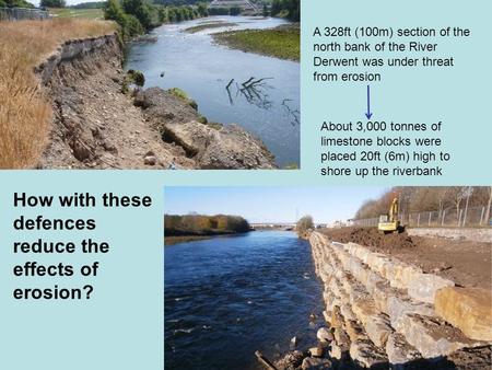A 328ft (100m) section of the north bank of the River Derwent was under threat from erosion About 3,000 tonnes of limestone blocks were placed 20ft (6m)