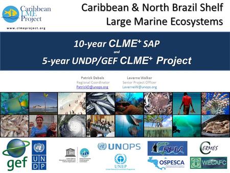 Caribbean & North Brazil Shelf Large Marine Ecosystems 10-year CLME + SAP and 5-year UNDP/GEF CLME + Project Patrick DebelsLaverne Walker Regional CoordinatorSenior.