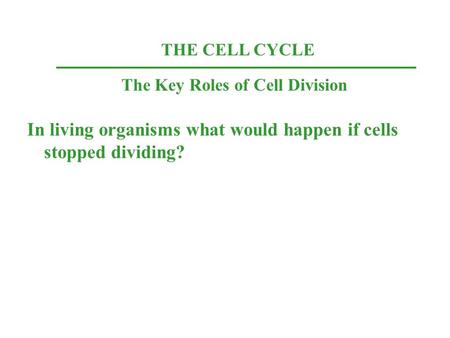 THE CELL CYCLE The Key Roles of Cell Division In living organisms what would happen if cells stopped dividing?