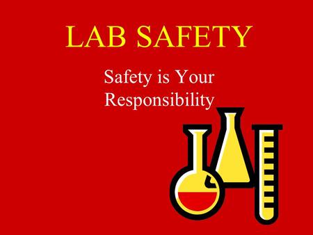 LAB SAFETY Safety is Your Responsibility No Horse-play in the Lab……