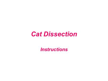 Cat Dissection Instructions. This is the place where the dead teach the living.