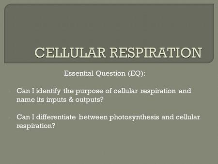 Essential Question (EQ): Can I identify the purpose of cellular respiration and name its inputs & outputs? Can I differentiate between photosynthesis.