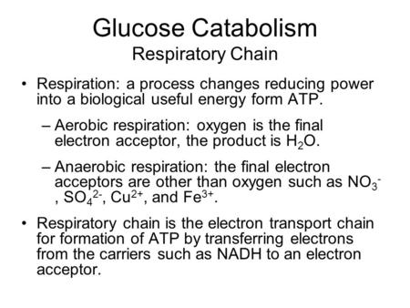 Glucose Catabolism Respiratory Chain