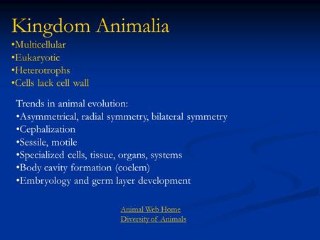 Animal Web Home Diversity of Animals Kingdom Animalia Multicellular Eukaryotic Heterotrophs Cells lack cell wall Trends in animal evolution: Asymmetrical,