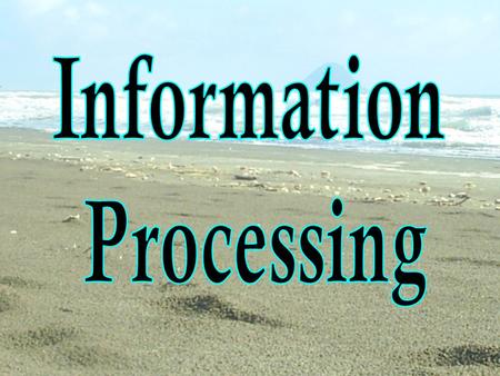 Information Processing.