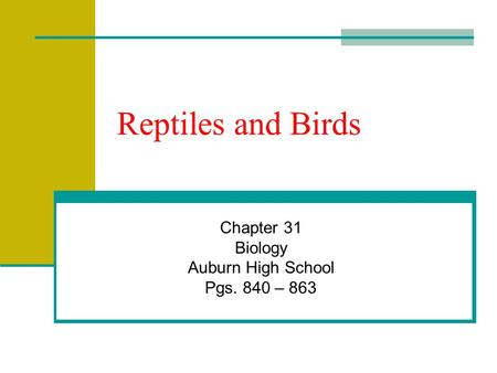 Reptiles and Birds Chapter 31 Biology Auburn High School Pgs. 840 – 863.