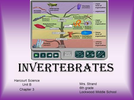 Invertebrates Harcourt Science Unit B Chapter 3 Mrs. Strand 6th grade Lockwood Middle School.