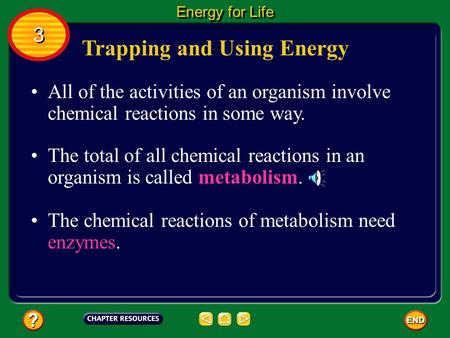 Trapping and Using Energy All of the activities of an organism involve chemical reactions in some way. The total of all chemical reactions in an organism.