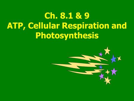 Ch. 8.1 & 9 ATP, Cellular Respiration and Photosynthesis