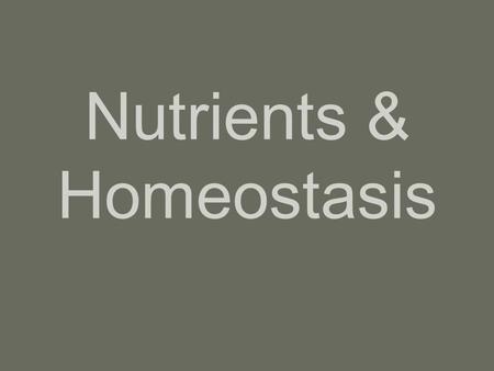 Nutrients & Homeostasis. Metabolism & Body Heat Metabolism –All of the chemical reactions of the body taken together If rxns happen fast  fast metabolism.