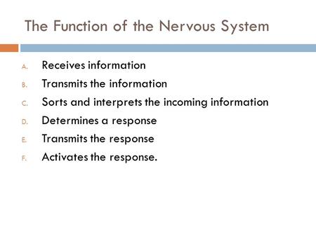 The Function of the Nervous System