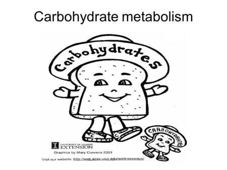 Carbohydrate metabolism. CHO supply Diet Endogenous reserves –Liver –Muscle –Blood Limited Anaerobic glycolysis –Anaerobic Does not need oxygen Occurs.