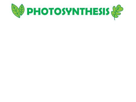 PHOTOSYNTHESIS. “LIFE from LIGHT and AIR” PRODUCERS/AUTOTROPHS – CONVERT LIGHT ENERGY TO CHEMICAL ENERGY; SYNTHESIZE ORGANIC MOLECULES CONSUMERS/HETEROTROPHS.