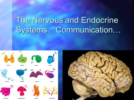 The Nervous and Endocrine Systems…Communication….