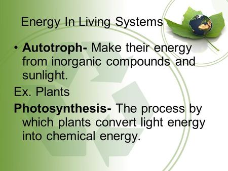 Energy In Living Systems