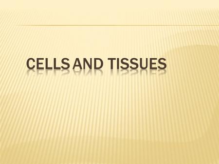 Cells and Tissues.