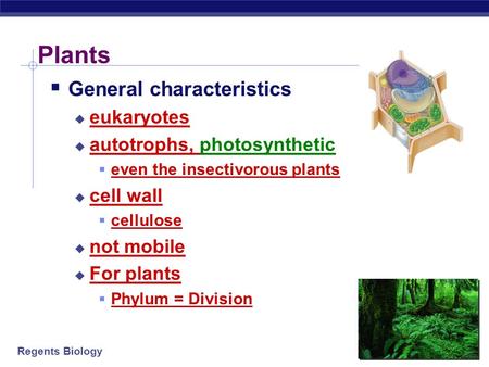 Plants General characteristics eukaryotes autotrophs, photosynthetic