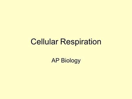 Cellular Respiration AP Biology Photosynthesis….then Photosynthesis captures the sun’s energy and converts it to glucose Cellular respiration is the.