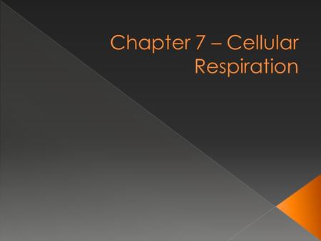 Cellular Respiration – process in which cells make ATP (the energy storing molecule in cells) by breaking down organic compounds. (aka getting energy.