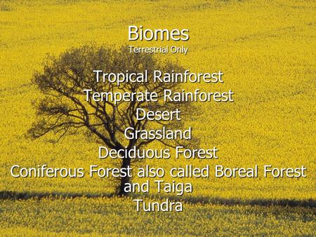 Biomes Terrestrial Only