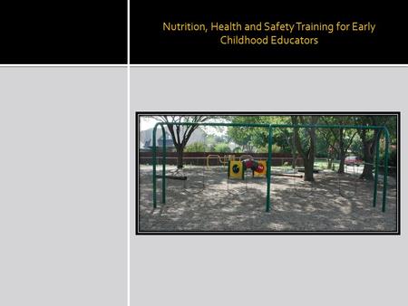 Nutrition, Health and Safety Training for Early Childhood Educators.