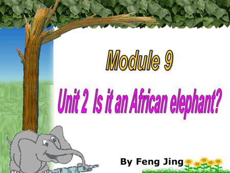 Unit 2 Is it an African elephant?