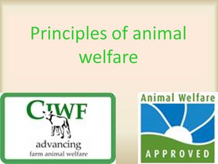 Principles of animal welfare. The 5 freedoms  Freedom from thirst, hunger and malnutrition.  Freedom from inappropriate comfort and shelter.  Freedom.