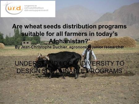 Are wheat seeds distribution programs suitable for all farmers in today’s Afghanistan?’ By Jean-Christophe Duchier, agronomist, junior researcher UNDERSTAND.