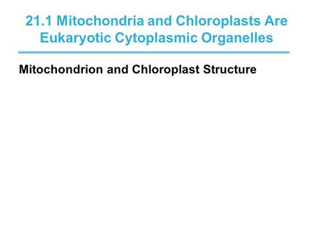 21.1 Mitochondria and Chloroplasts Are Eukaryotic Cytoplasmic Organelles Mitochondrion and Chloroplast Structure.