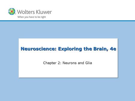 Chapter 2: Neurons and Glia
