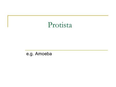Protista e.g. Amoeba. Learning Objectives Explain the nuclear structure of Amoeba Explain the sub cellular structure of Amoeba.
