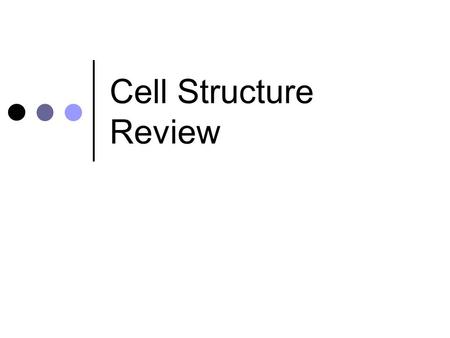 Cell Structure Review. Prokaryotic Cells Do not have a nucleus Found in bacteria.