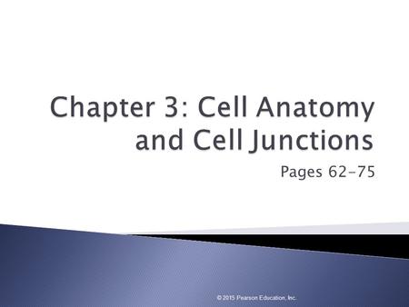 Chapter 3: Cell Anatomy and Cell Junctions