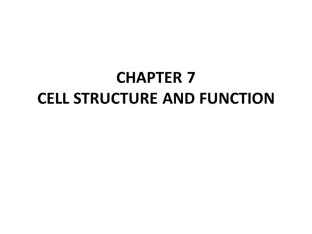 CHAPTER 7 CELL STRUCTURE AND FUNCTION