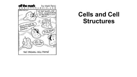 Cells and Cell Structures. Cells All living things are made of cells Cells are the basic structural and functional unit of living things New cells are.
