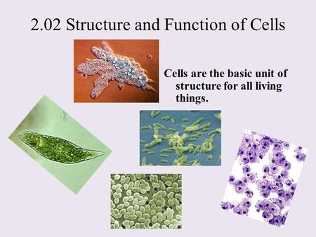 2.02 Structure and Function of Cells Cells are the basic unit of structure for all living things.