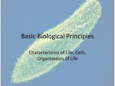 Basic Biological Principles