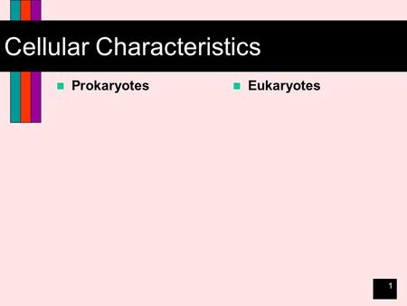 1 Cellular Characteristics Prokaryotes Eukaryotes.
