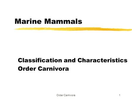 Classification and Characteristics Order Carnivora