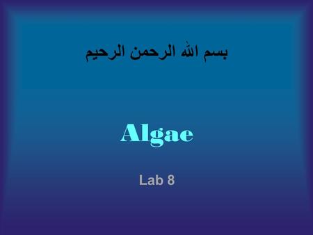 بسم الله الرحمن الرحيم Algae Lab 8. Algae : are alarge and diverse group of Photosynthetic, eukaryotic, plant-like organisms that use chlorophyll in capturing.