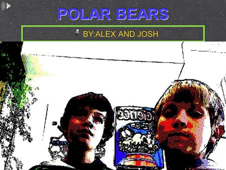 POLAR BEARS BY:ALEX AND JOSH. PHYSICAL CHARACTERISTICS A male polar bear can get up to 10 feet tall and weigh more than 1,400 pounds. A female polar bear.