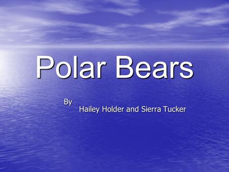 Polar Bears By Hailey Holder and Sierra Tucker. Strong Front Paws Large Canine Teeth Polar Bear Diagram Hollow Fur (Not White!) Flat Pads On Bottoms Of.