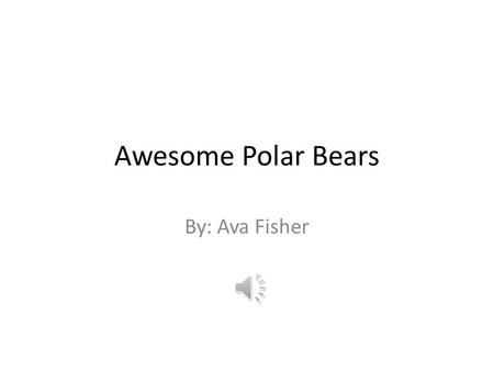 Awesome Polar Bears By: Ava Fisher Table of Contents The Anatomy of a Polar Bear Polar Bears habitat A Polar Bears Diet Facts About Polar Bears.