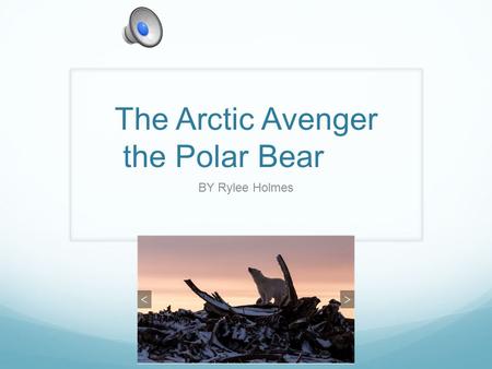 The Arctic Avenger the Polar Bear BY Rylee Holmes.