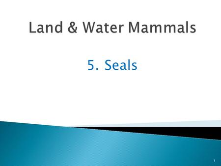 5. Seals 1. Seals are excellent swimmers and divers 2 Some can swim 15 miles an hour and others can dive 2,000 feet underwater.