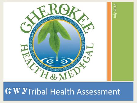 Tribal Health Assessment July 2013. HMD Vision A healthy Cherokee community where all people can enjoy health and wellness in a clean, safe environment,