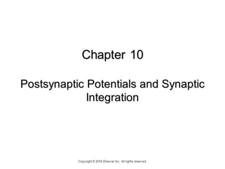Chapter 10 Postsynaptic Potentials and Synaptic Integration Copyright © 2014 Elsevier Inc. All rights reserved.