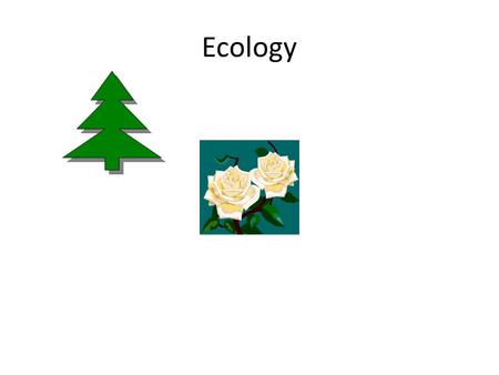Ecology. Ecology-study of organisms and their interactions with the environment Biotic factorsAbiotic- non-living.